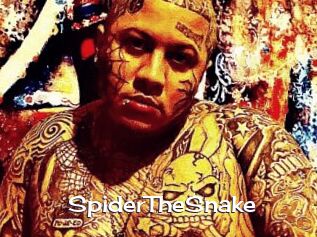 SpiderTheSnake