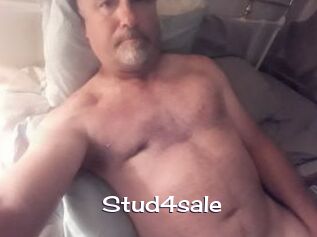 Stud4sale