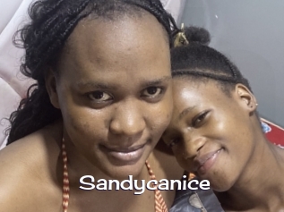 Sandycanice