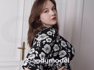 Sandymodel