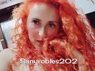 Sanyrobles202