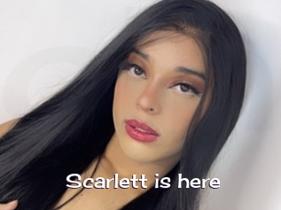 Scarlett_is_here