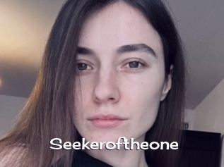 Seekeroftheone