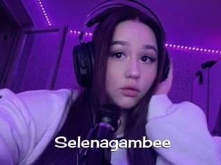 Selenagambee