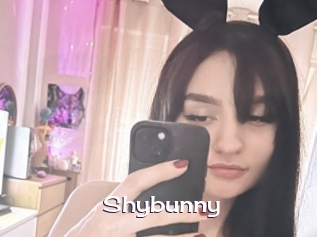 Shybunny