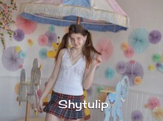 Shytulip