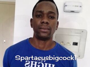 Spartacusbigcock1