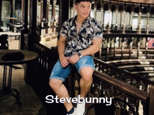 Stevebunny