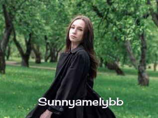 Sunnyamelybb