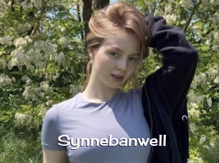 Synnebanwell