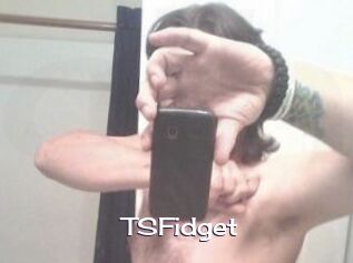 TSFidget