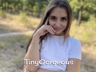 TinyGorgeous
