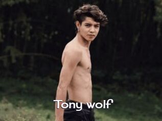 Tony_wolf