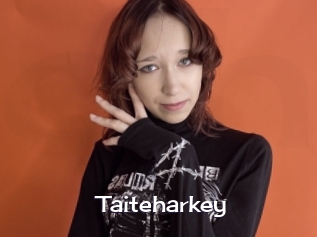 Taiteharkey
