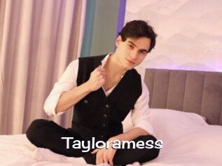 Tayloramess