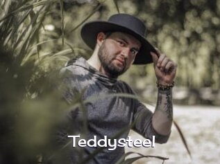 Teddysteel