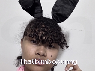 Thatbimbobunny