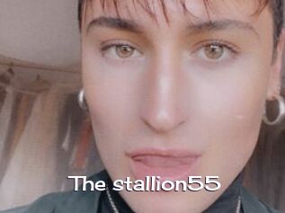 The_stallion55