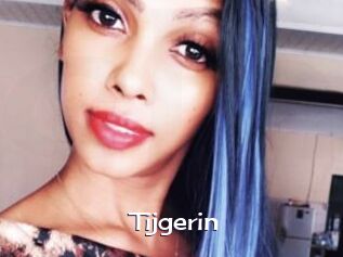 Tijgerin