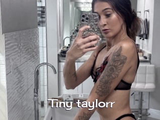 Tiny_taylorr