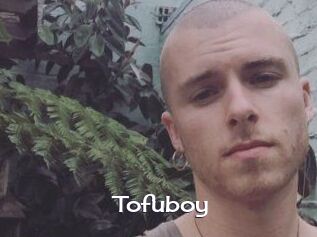 Tofu_boy