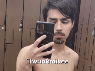 Twunkmikee