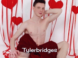 Tylerbridges