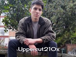 Uppercut210x
