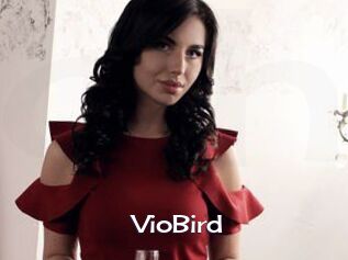 VioBird