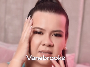 Vanebrooks