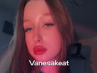 Vanesakeat