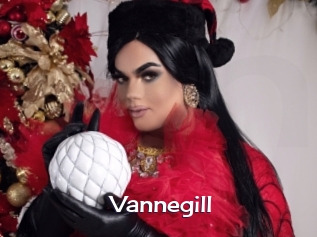 Vannegill