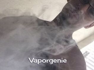 Vapor_genie