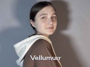Vellumurr