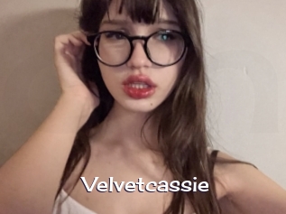 Velvetcassie