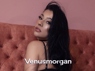 Venusmorgan