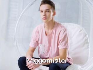Viggomister