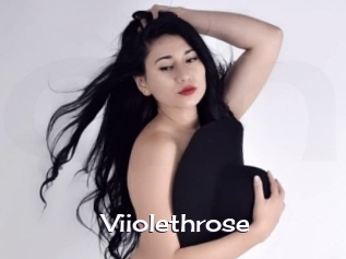 Viiolethrose