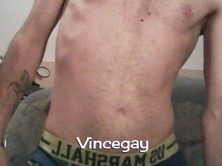 Vincegay