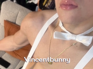 Vincentbunny