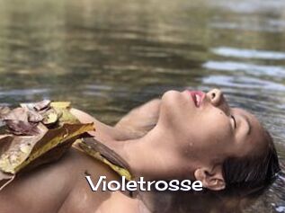 Violetrosse