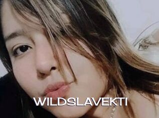 WILDSLAVEKTI