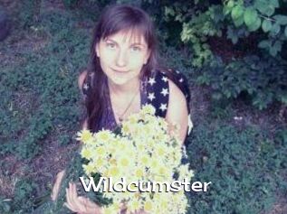 Wildcumster