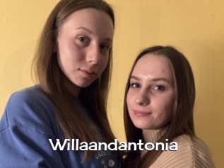 Willaandantonia