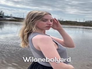 Wilonebolyard