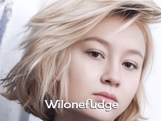 Wilonefudge