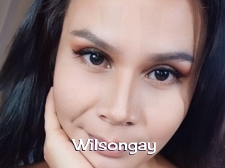 Wilsongay