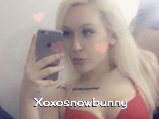 Xoxosnowbunny