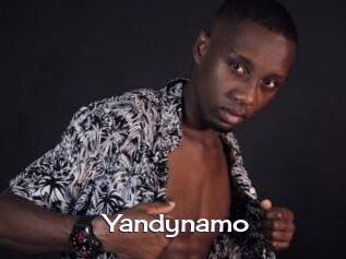 Yandynamo