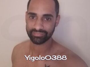 Yigolo0388